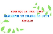 Giải Sinh 12 trang 33 Chân trời Sáng tạo
